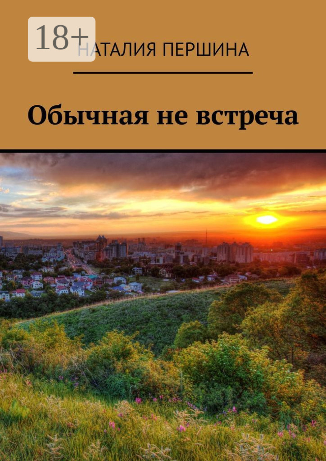 Обложка книги «Обычная не встреча»