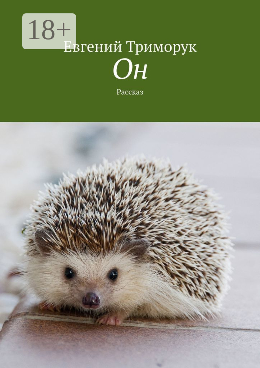 Обложка книги «Он. Рассказ»