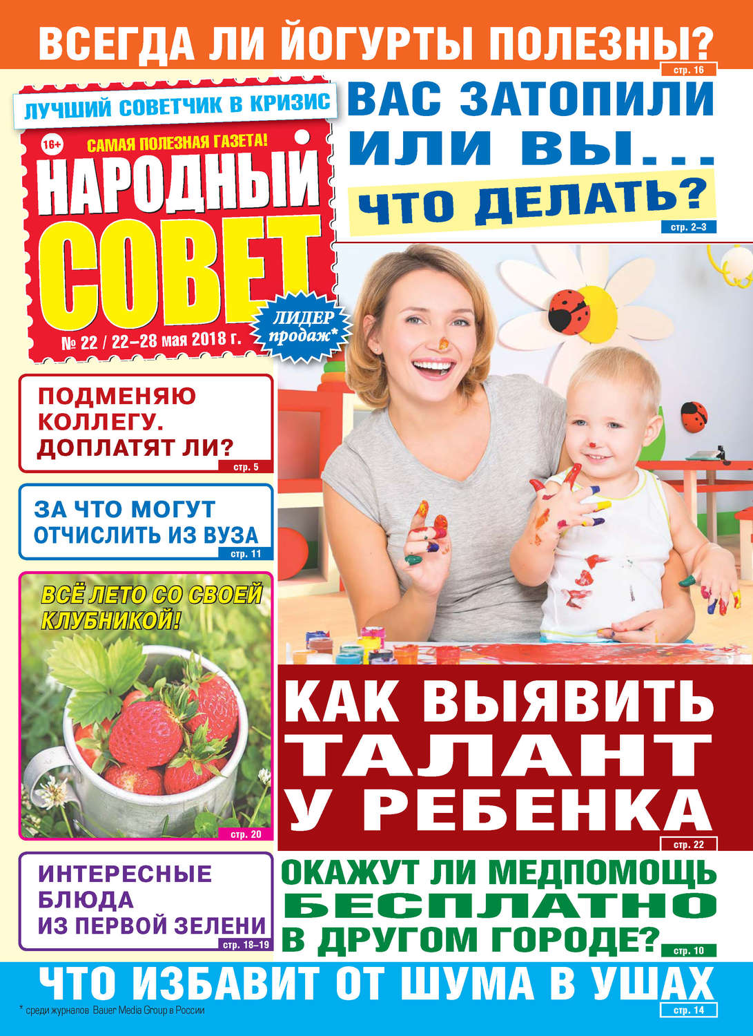 Обложка книги «Народный совет №22/2018»