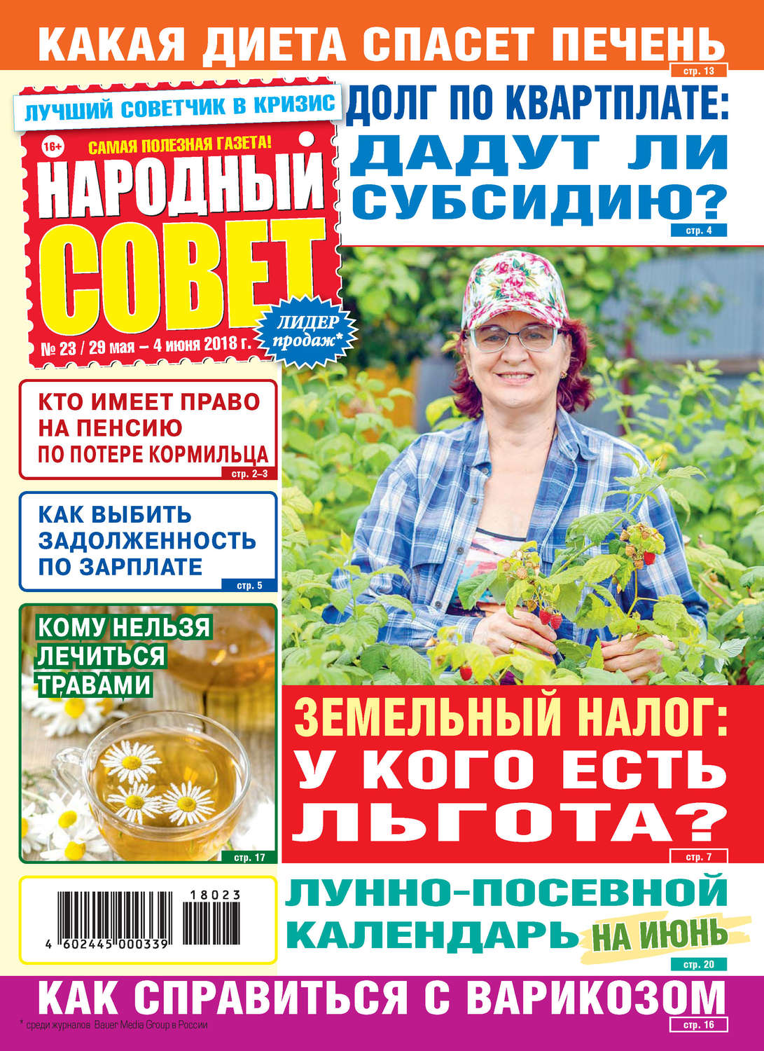 Обложка книги «Народный совет №23/2018»