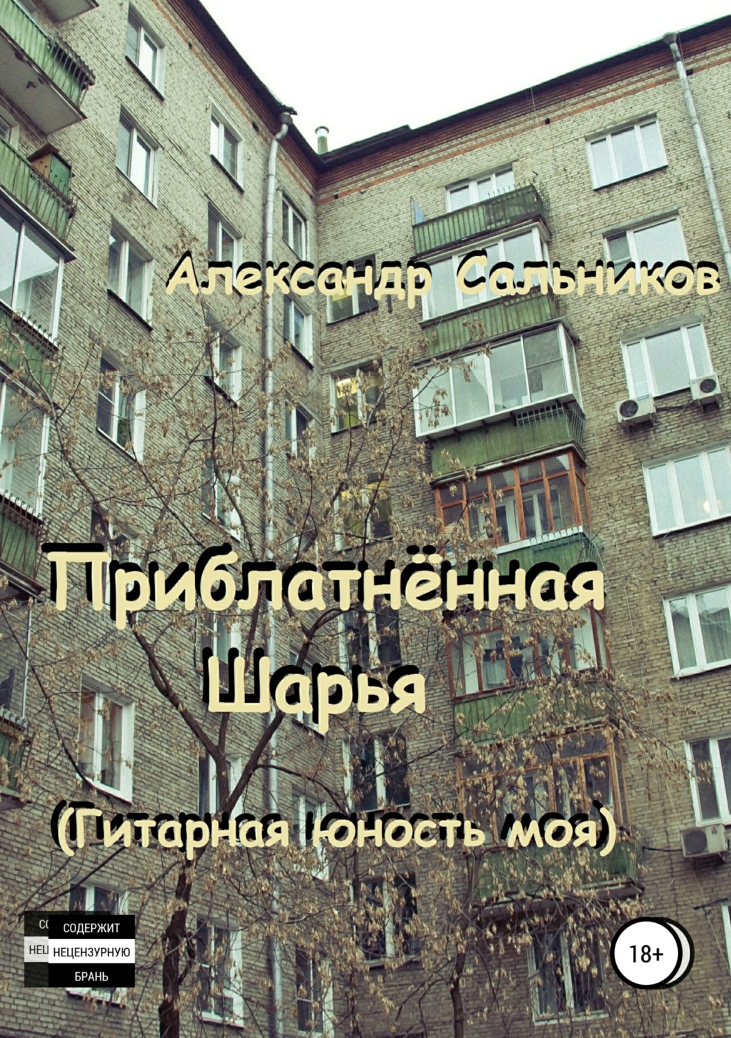 Обложка книги «Приблатнённая Шарья. Гитарная юность моя»