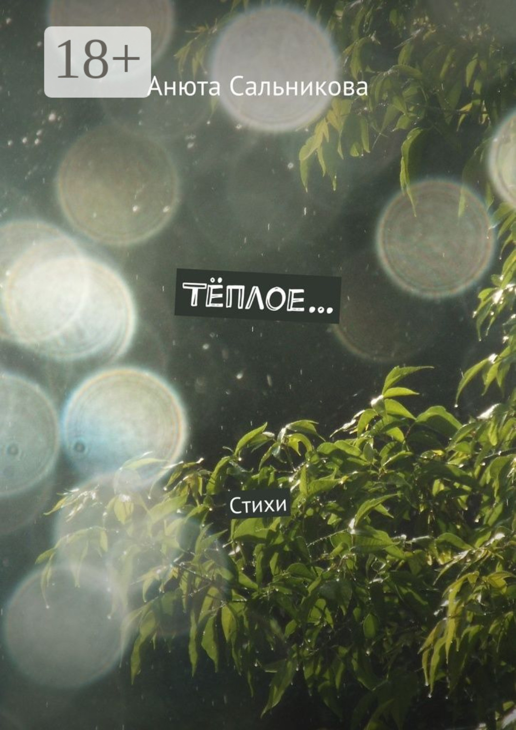 Обложка книги «Тёплое… Стихи»