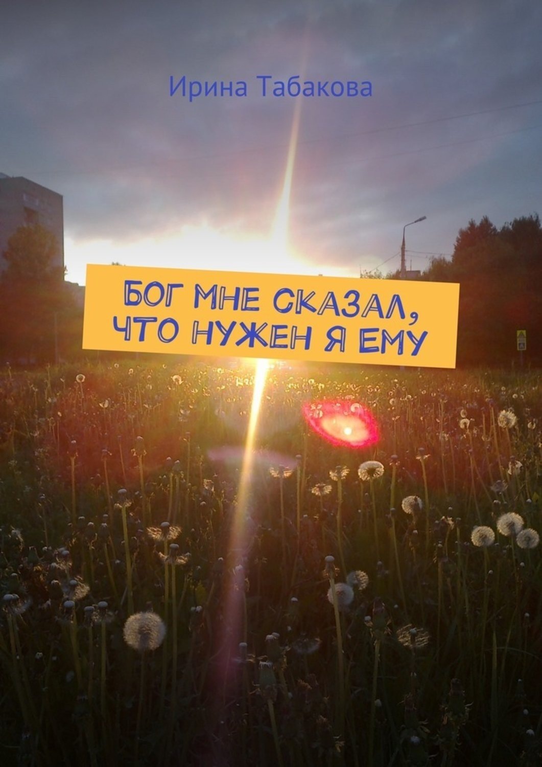 Обложка книги «Бог мне сказал, что нужен я Ему»