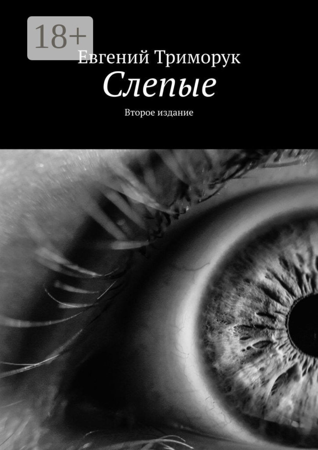 Обложка книги «Слепые. Второе издание»