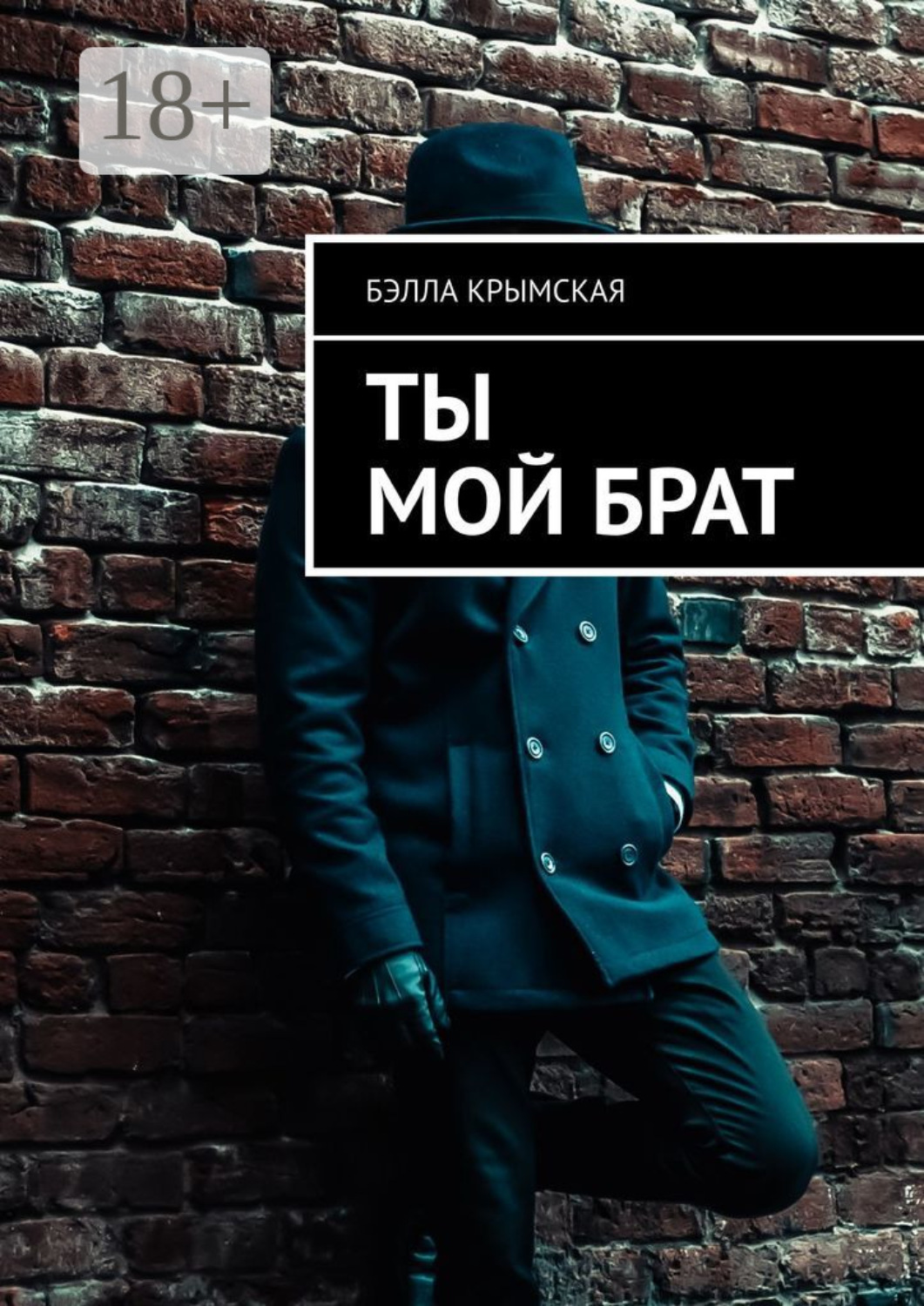 Обложка книги «Ты мой брат»