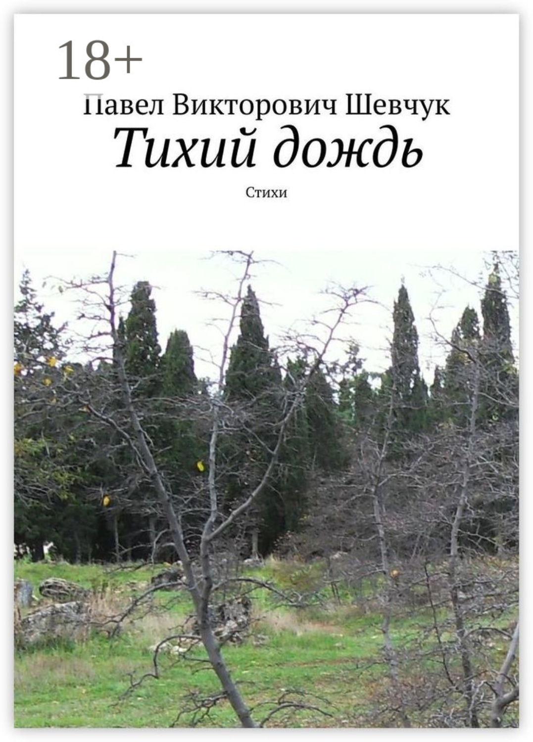Обложка книги «Тихий дождь. Стихи»