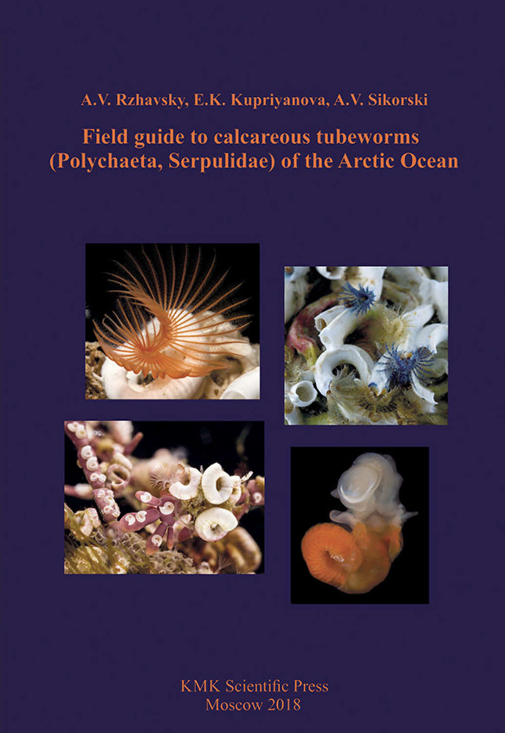 Обложка книги «Field guide to calcareous tubeworms (Polychaeta, Serpulidae) of the Arctic Ocean»