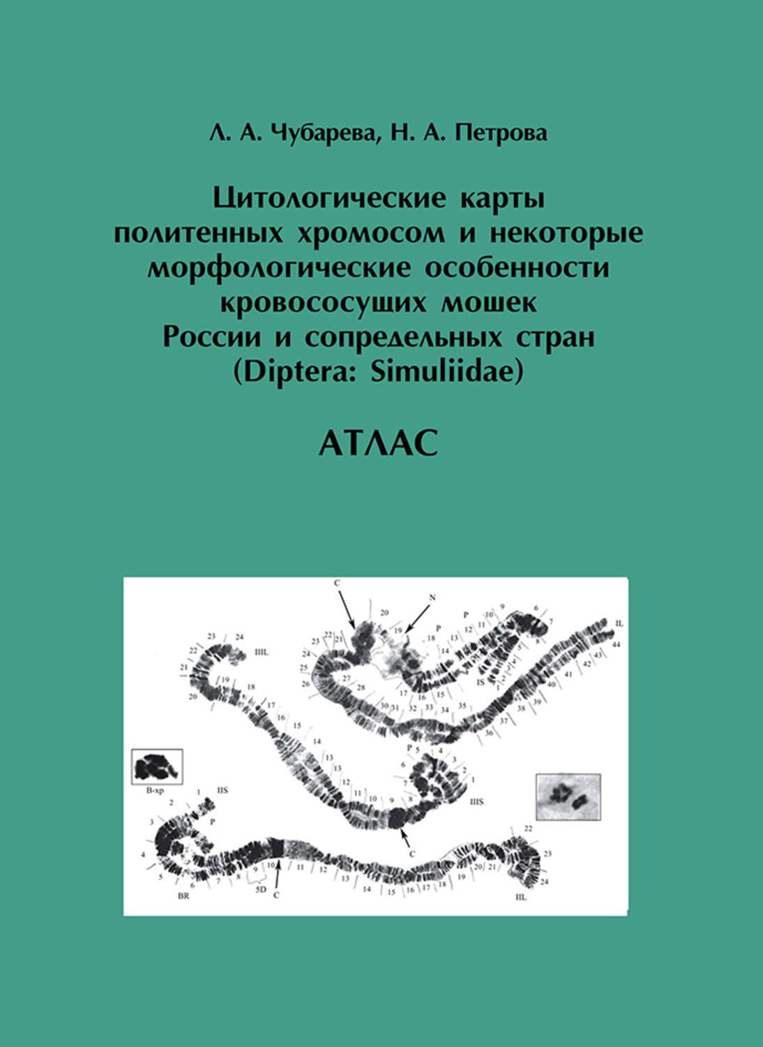 Обложка книги «Цитологические карты политенных хромосом и некоторые морфологические особенности кровососущих мошек России и сопредельных стран (Diptera: Simuliidae)»