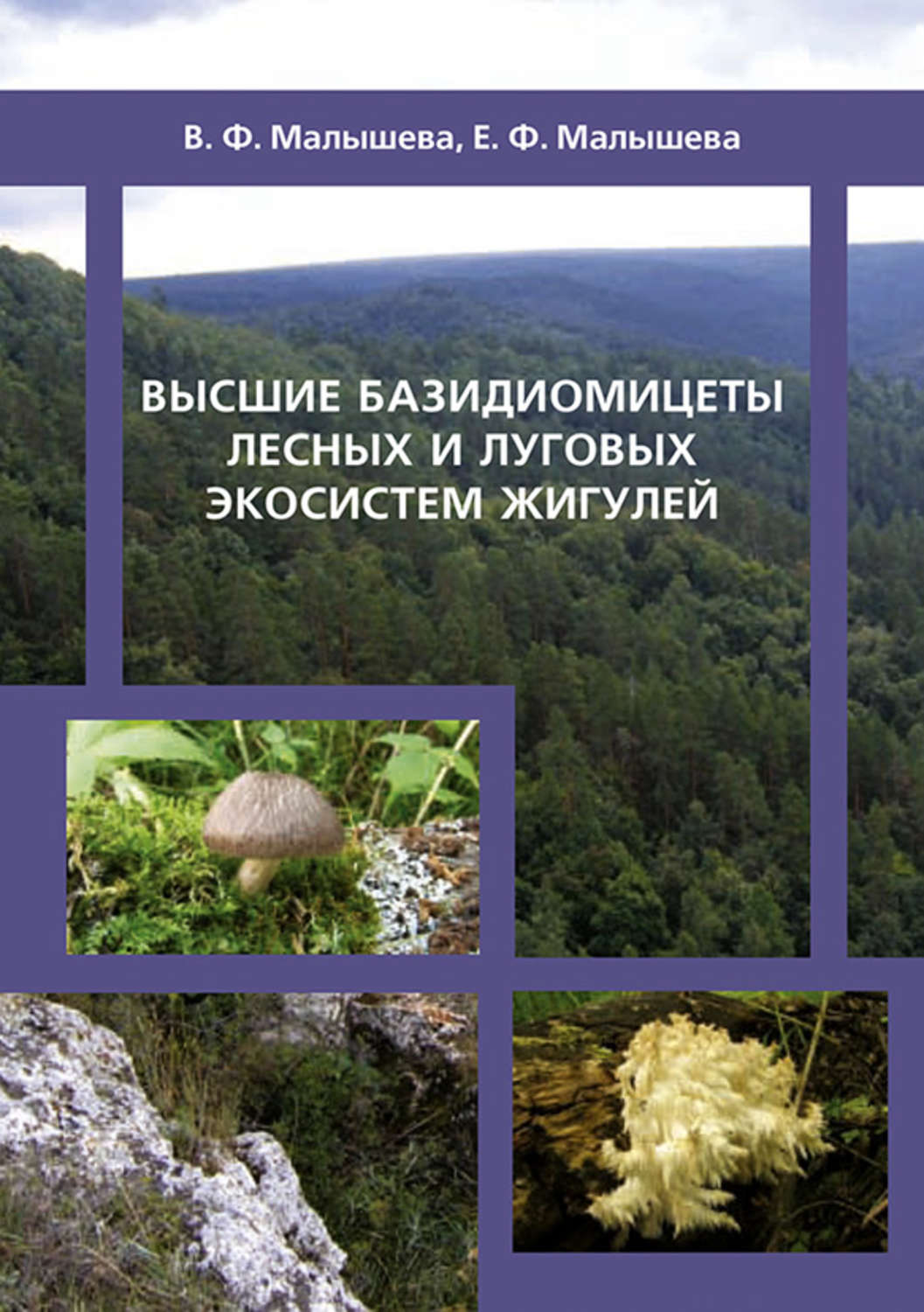 Обложка книги «Высшие базидиомицеты лесных и луговых экосистем Жигулей»