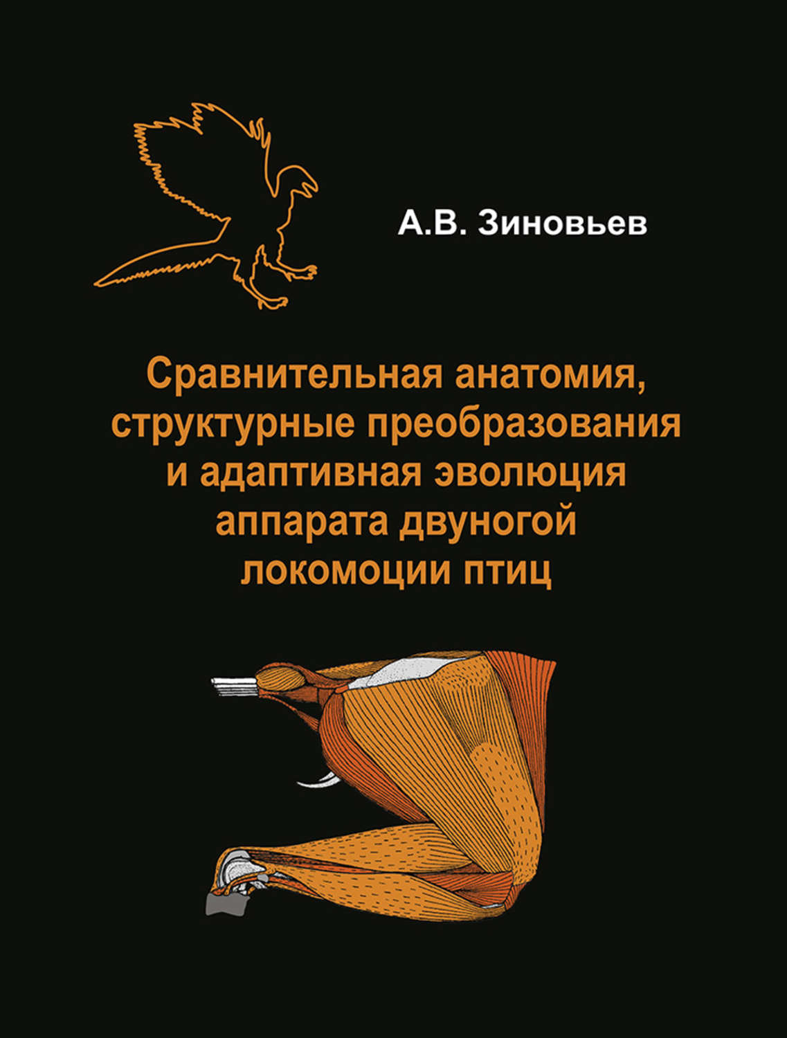 Обложка книги «Сравнительная анатомия, структурные преобразования и адаптивная эволюция аппарата двуногой локомоции птиц»