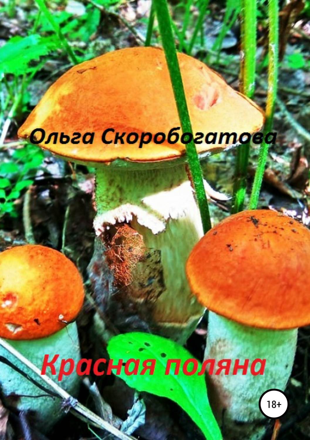 Обложка книги «Красная поляна»