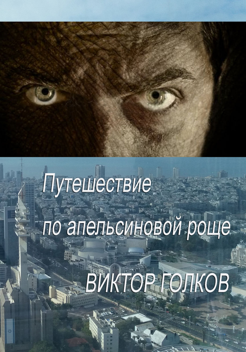 Обложка книги «Путешествие по апельсиновой роще»