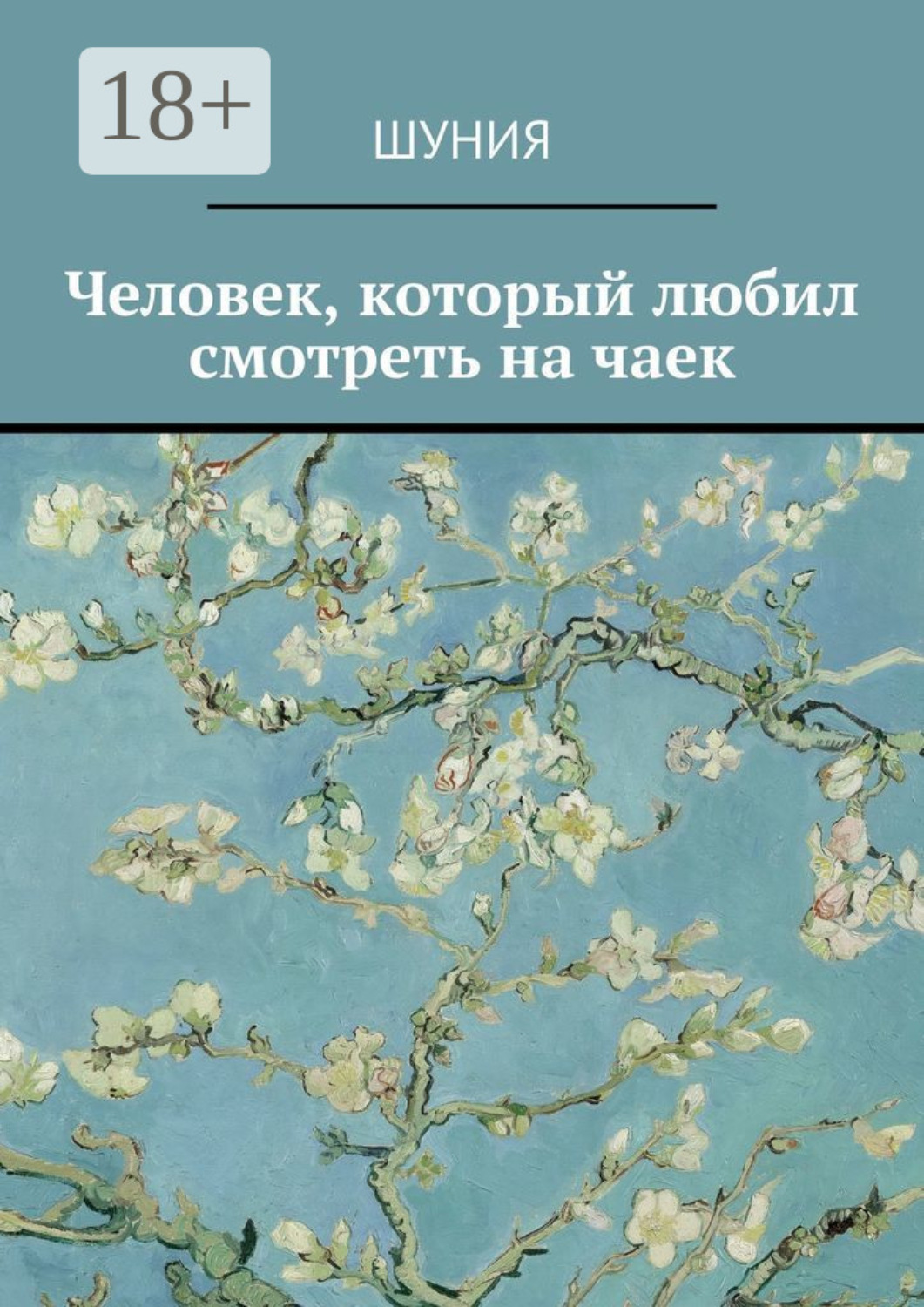Обложка книги «Человек, который любил смотреть на чаек»