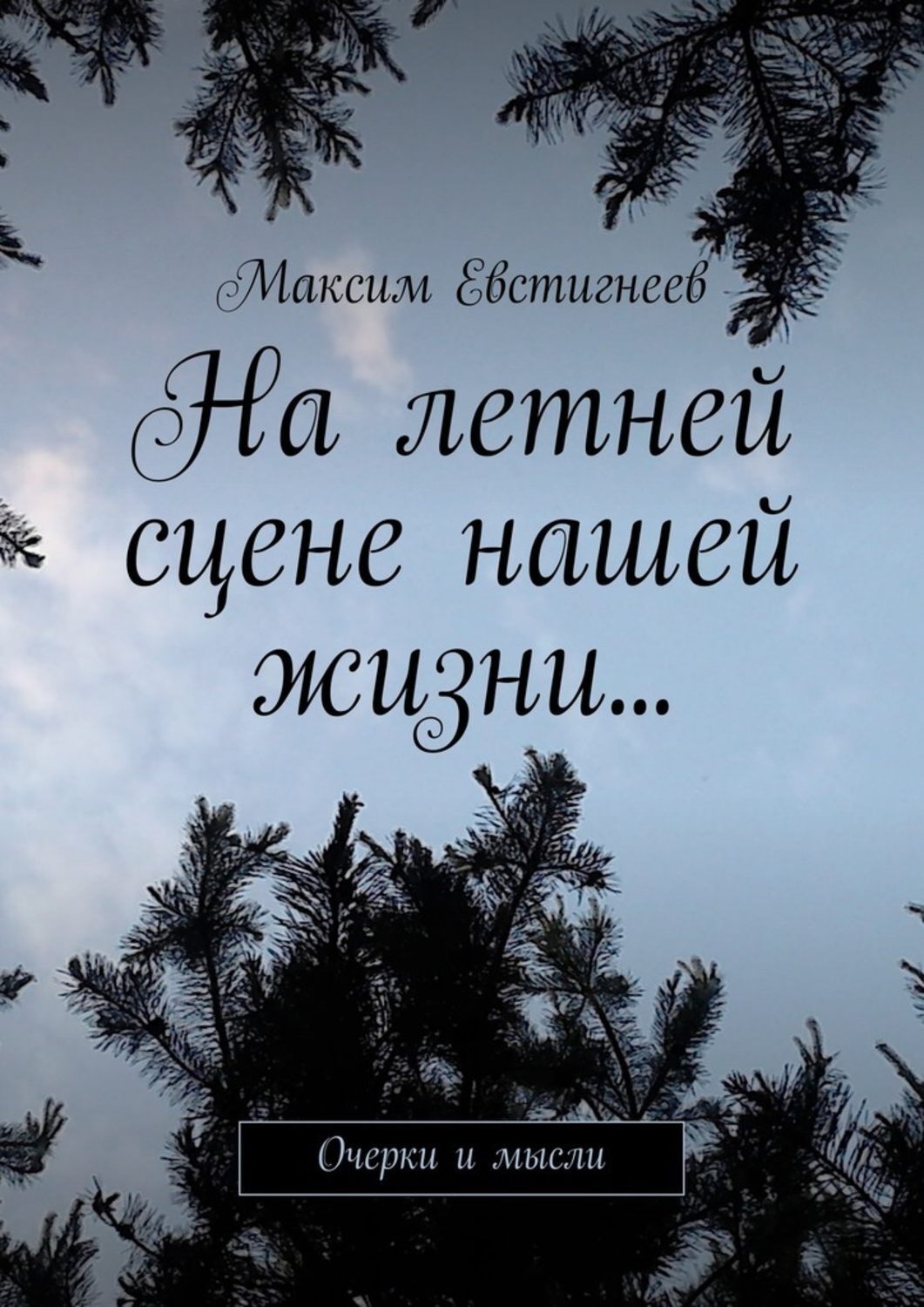 Обложка книги «На летней сцене нашей жизни… Очерки и мысли»