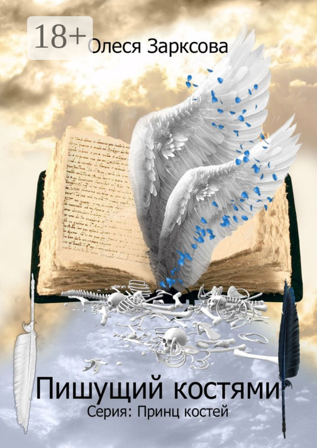 Обложка книги «Пишущий костями. Книга первая»