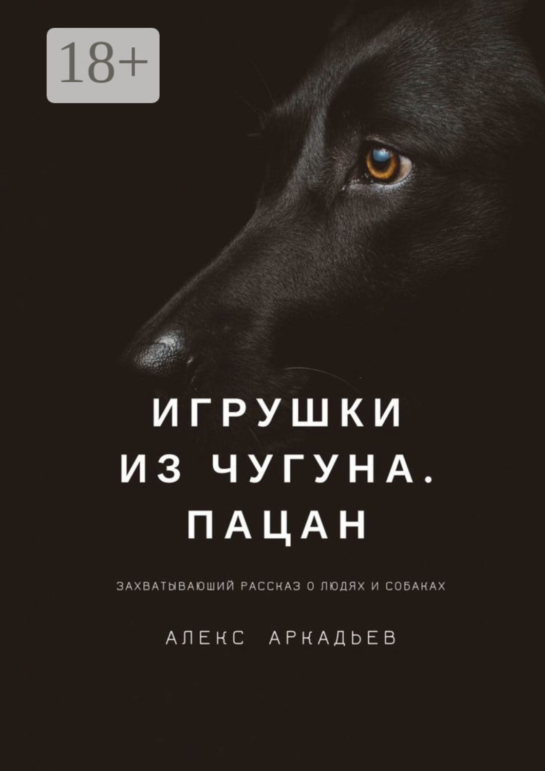 Обложка книги «Игрушки из чугуна. Пацан. Захватывающий рассказ о людях и собаках»