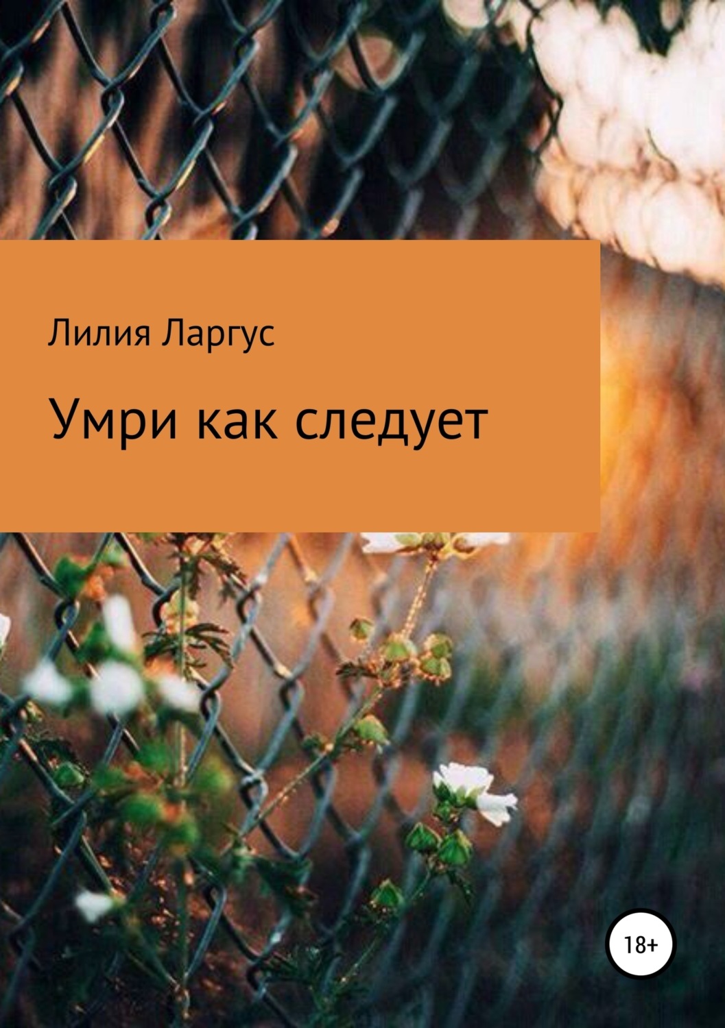 Обложка книги «Умри как следует»