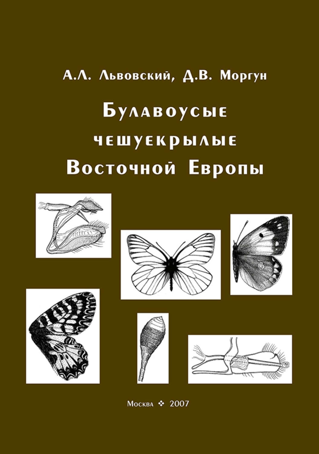 Обложка книги «Булавоусые чешуекрылые Восточной Европы»