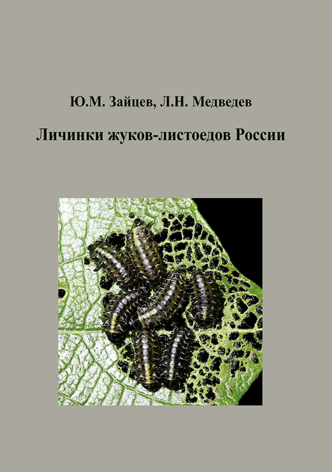 Обложка книги «Личинки жуков-листоедов России»