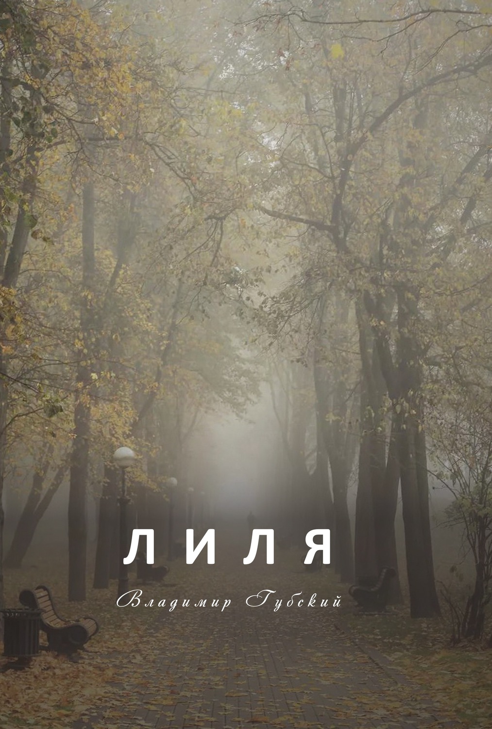 Обложка книги «Лиля»