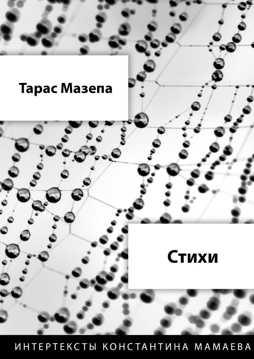 Обложка книги «Стихи»