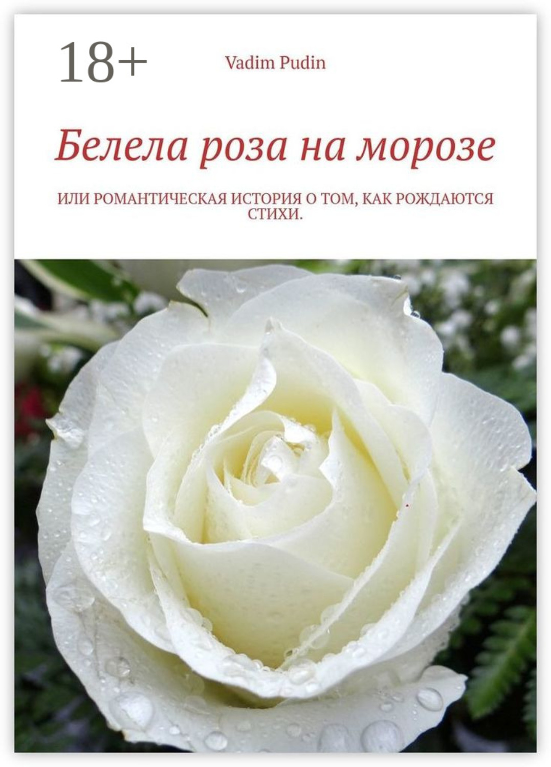 Обложка книги «Белела роза на морозе. Или романтическая история о том, как рождаются стихи»