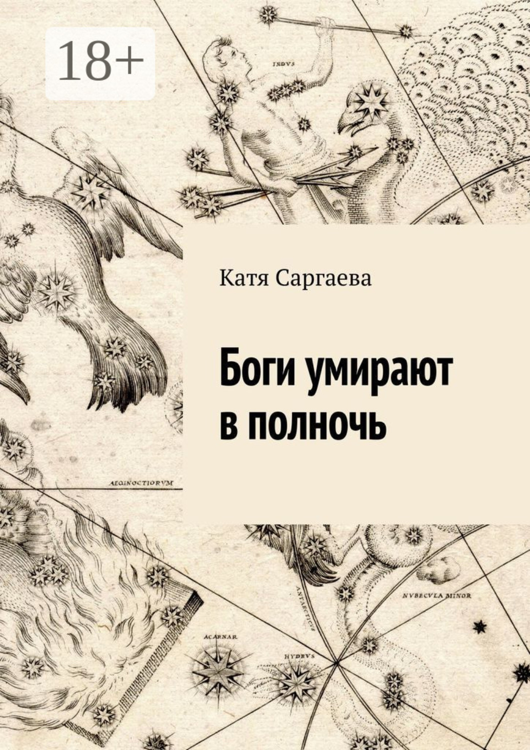 Обложка книги «Боги умирают в полночь»