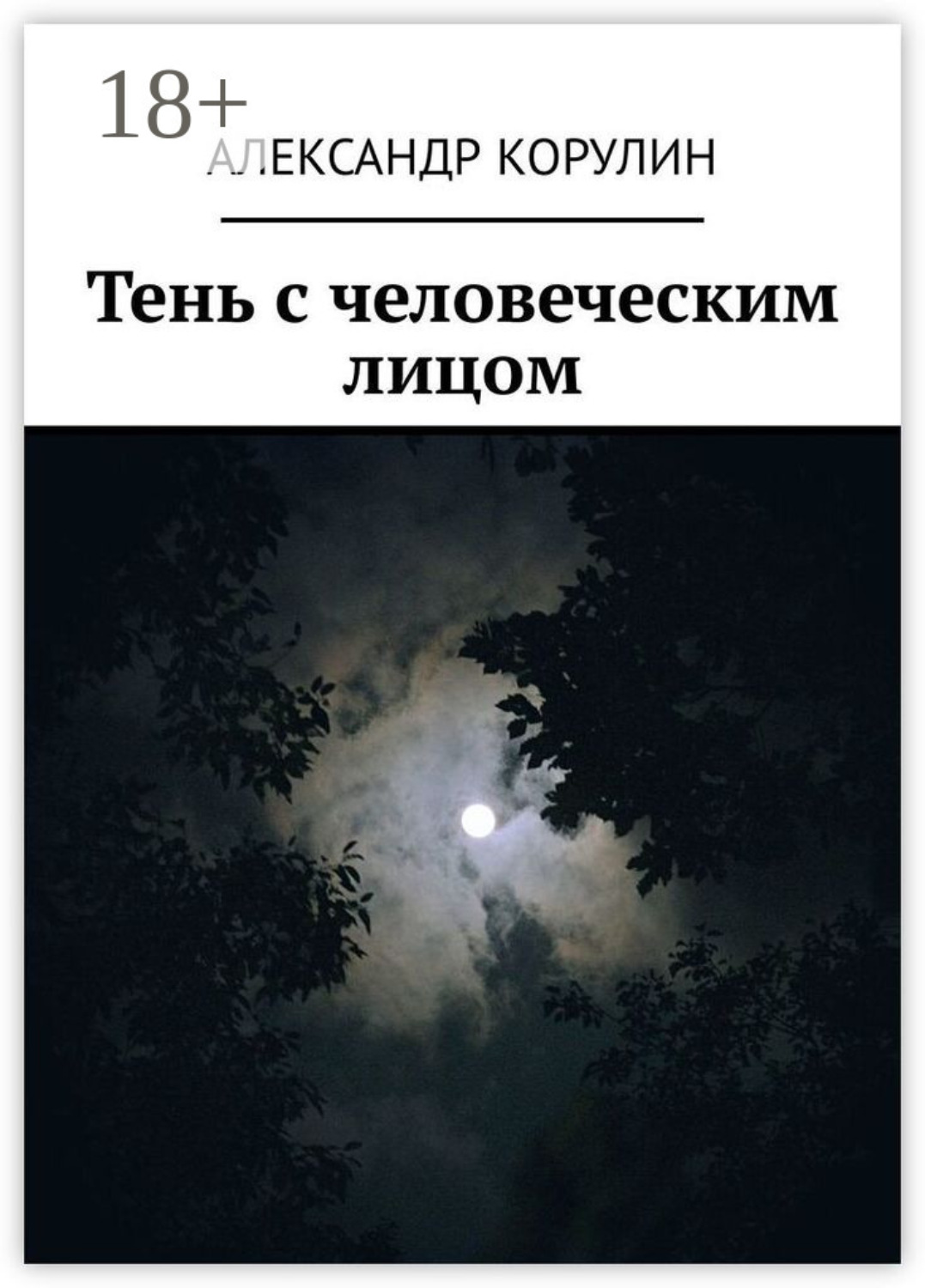Обложка книги «Тень с человеческим лицом»