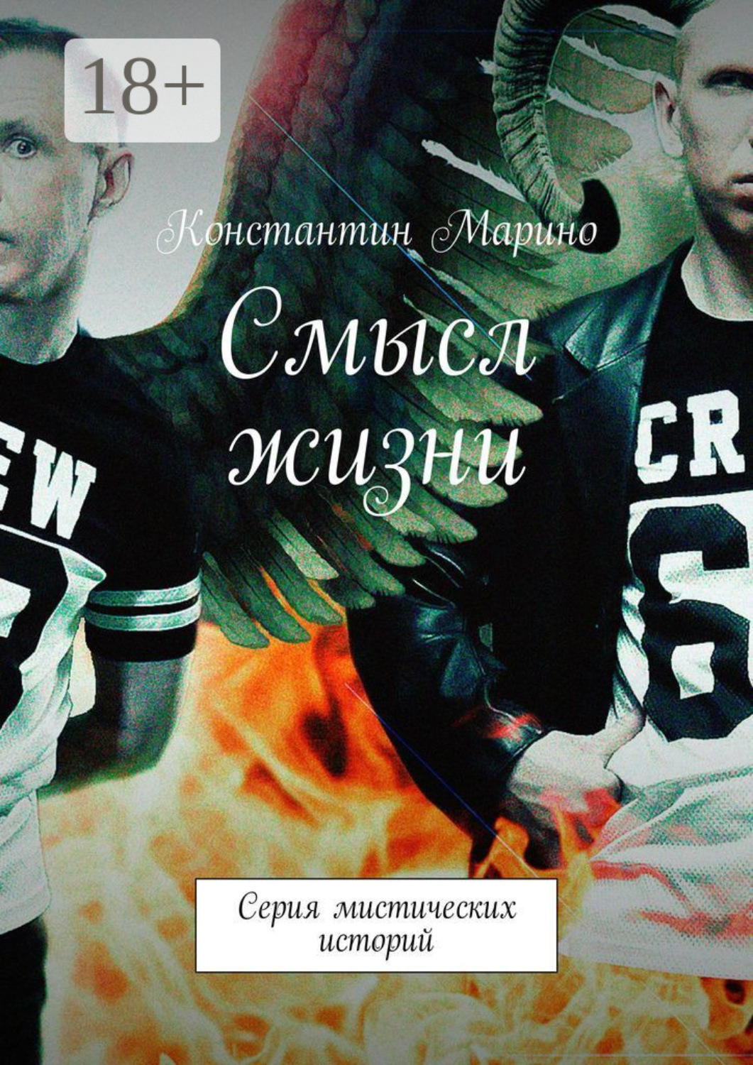 Обложка книги «Смысл жизни. Серия мистических историй»