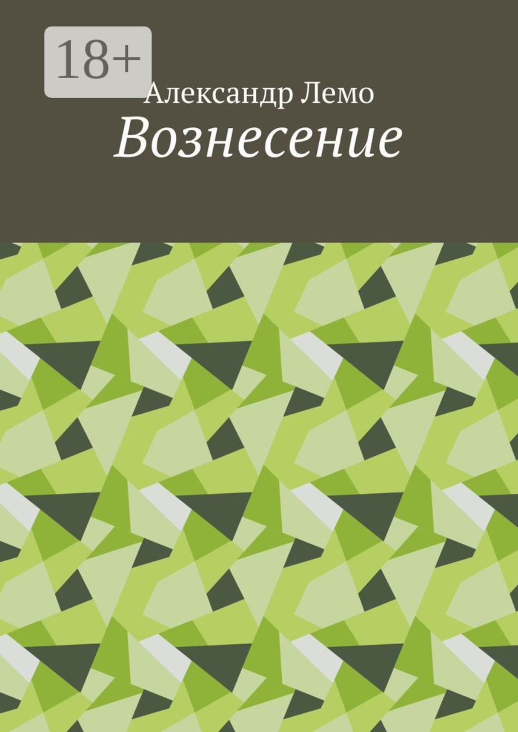 Обложка книги «Вознесение»