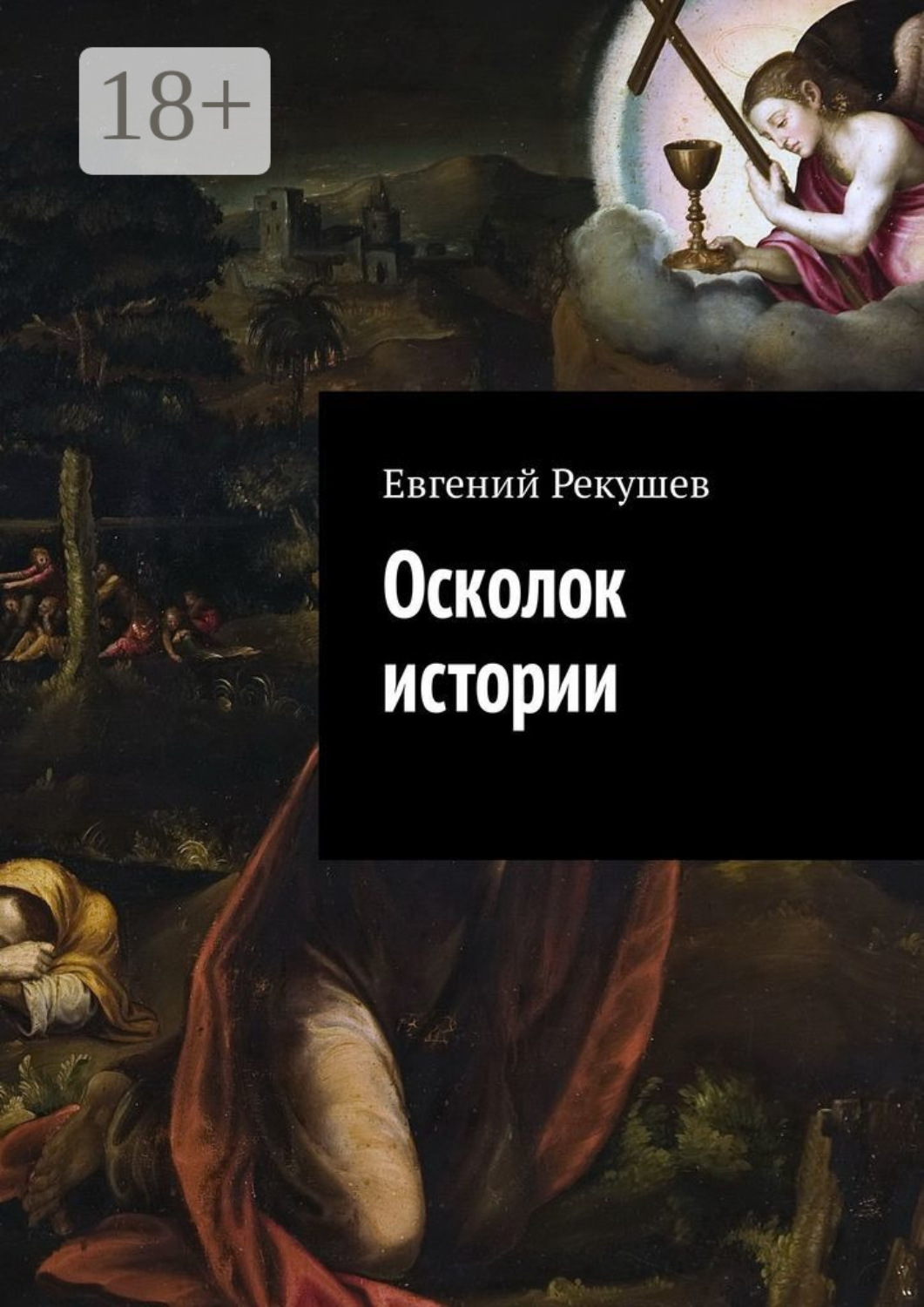 Обложка книги «Осколок истории»