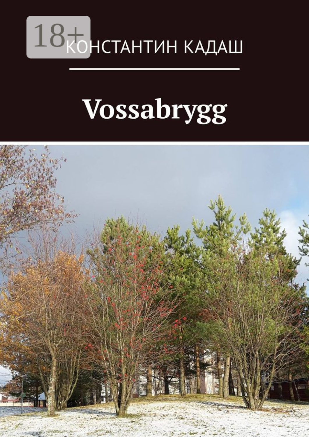 Обложка книги «Vossabrygg»