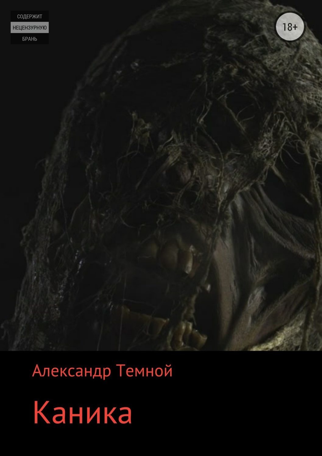 Обложка книги «Каника»