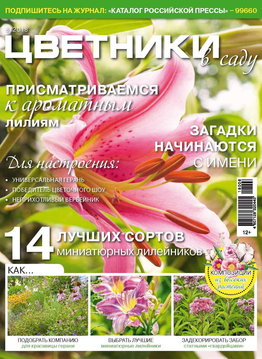 Обложка книги «Цветники в саду №8/2018»