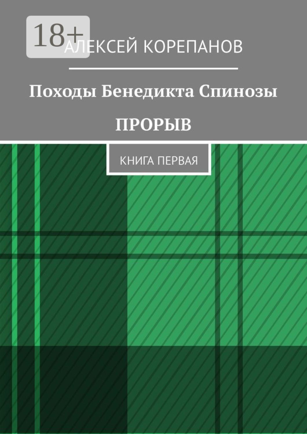 Обложка книги «Походы Бенедикта Спинозы. Прорыв. Книга первая»