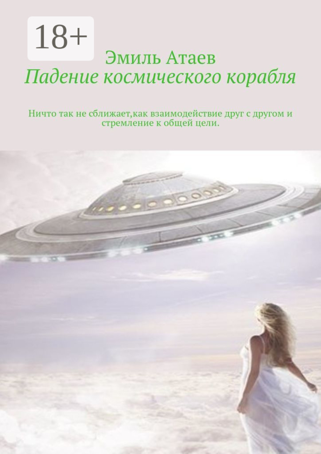 Обложка книги «Падение космического корабля. Ничто так не сближает, как взаимодействие друг с другом и стремление к общей цели»