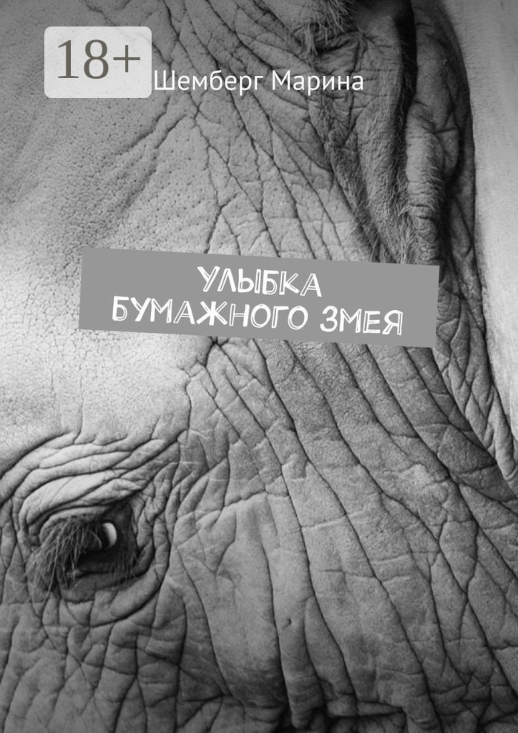 Обложка книги «Улыбка бумажного змея»