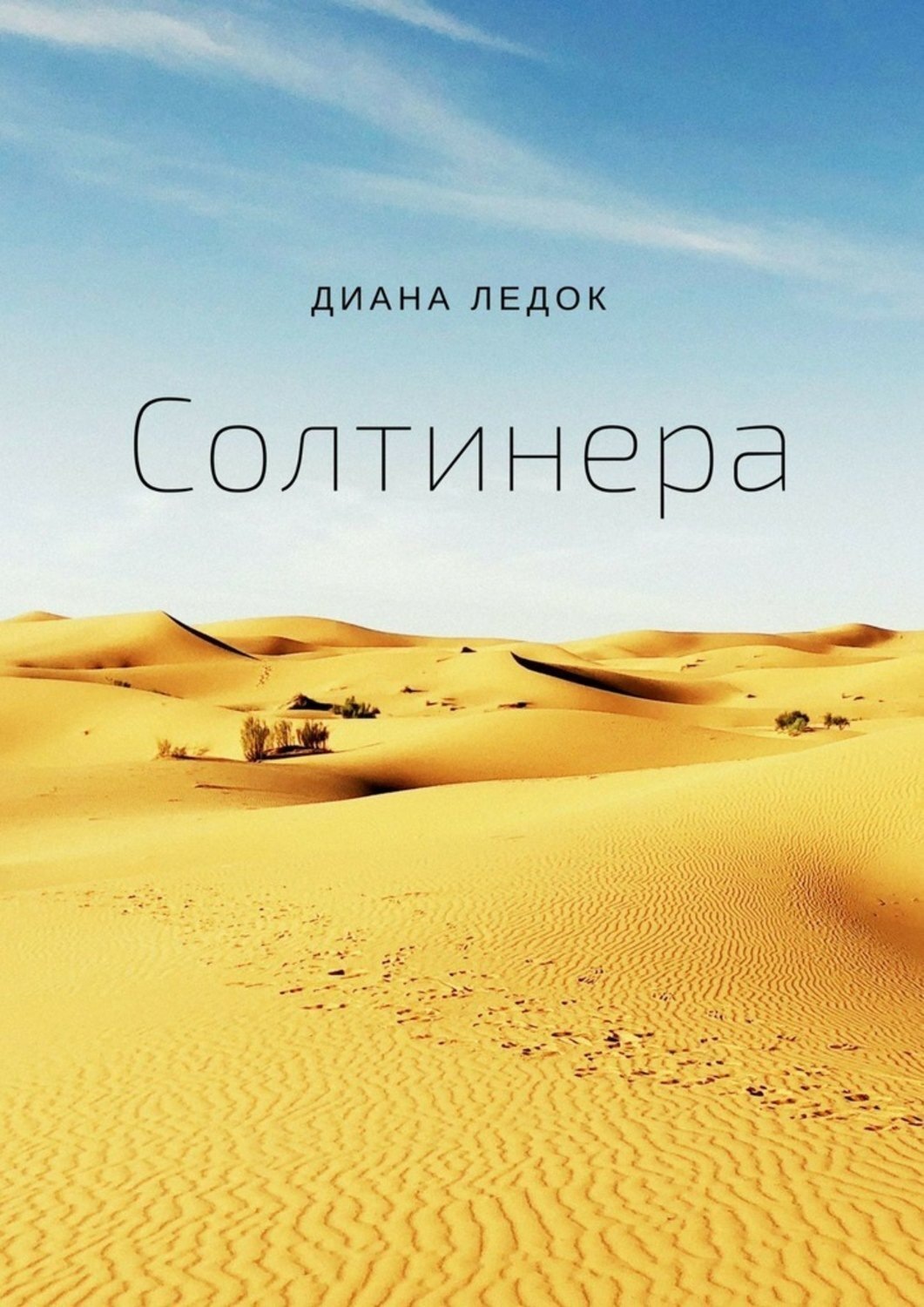 Обложка книги «Солтинера»