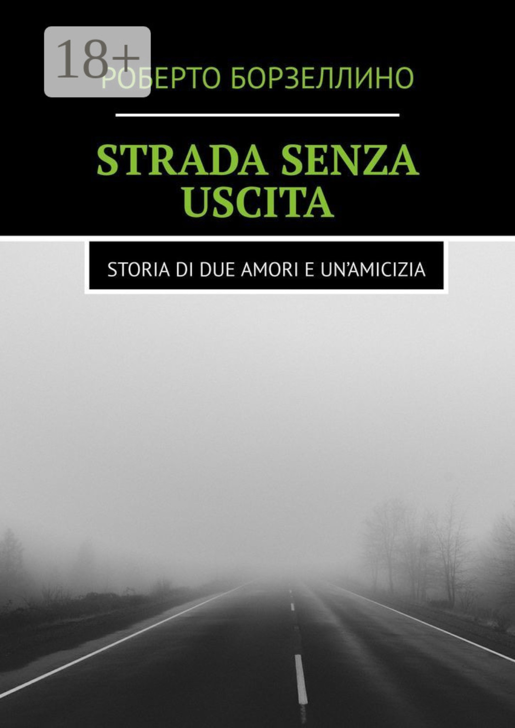 Обложка книги «Strada senza uscita. Storia di due amori e un’amicizia»