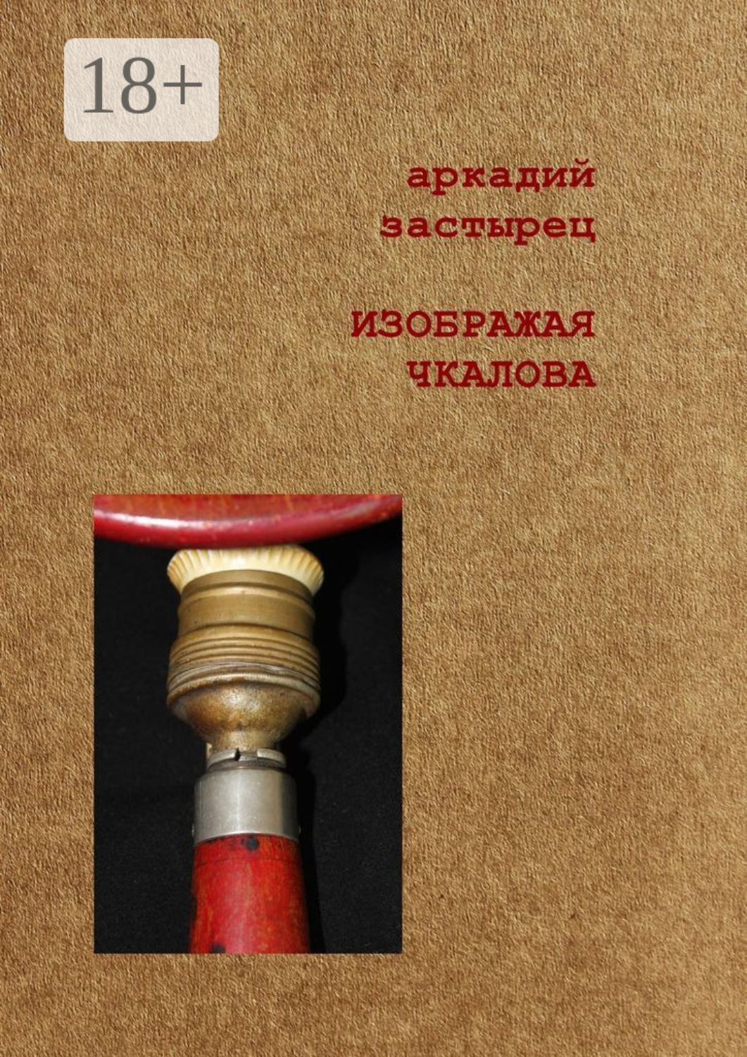 Обложка книги «Изображая Чкалова»