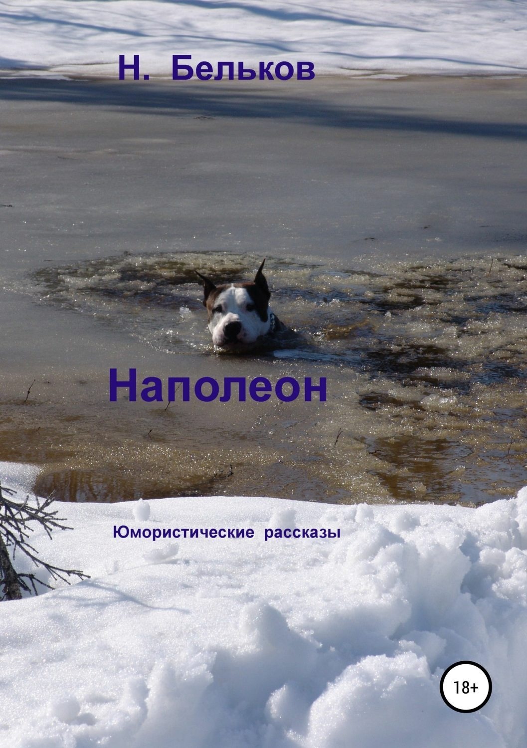 Обложка книги «Наполеон. Сборник рассказов»