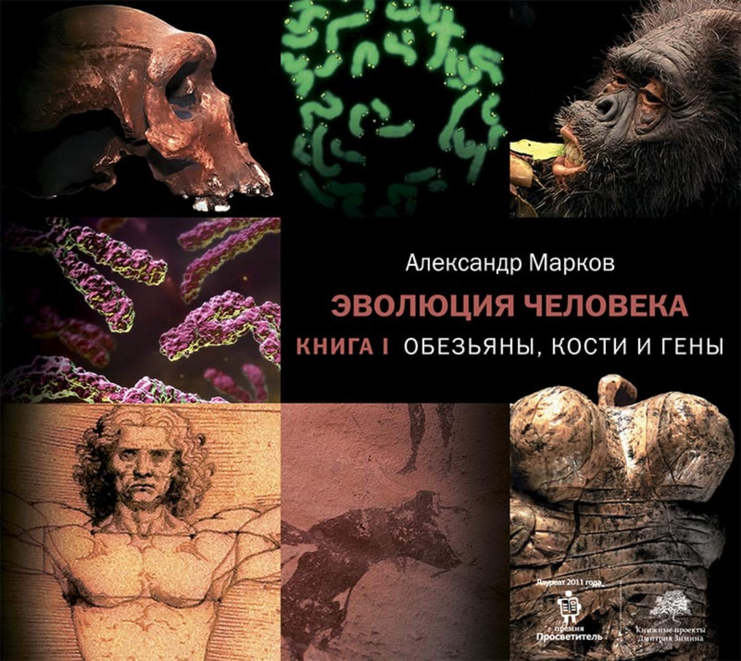 Обложка книги «Обезьяны, кости и гены»