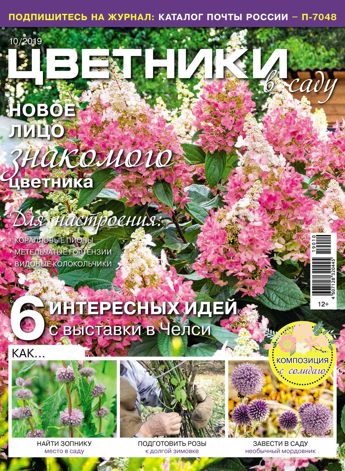 Обложка книги «Цветники в саду №10/2019»