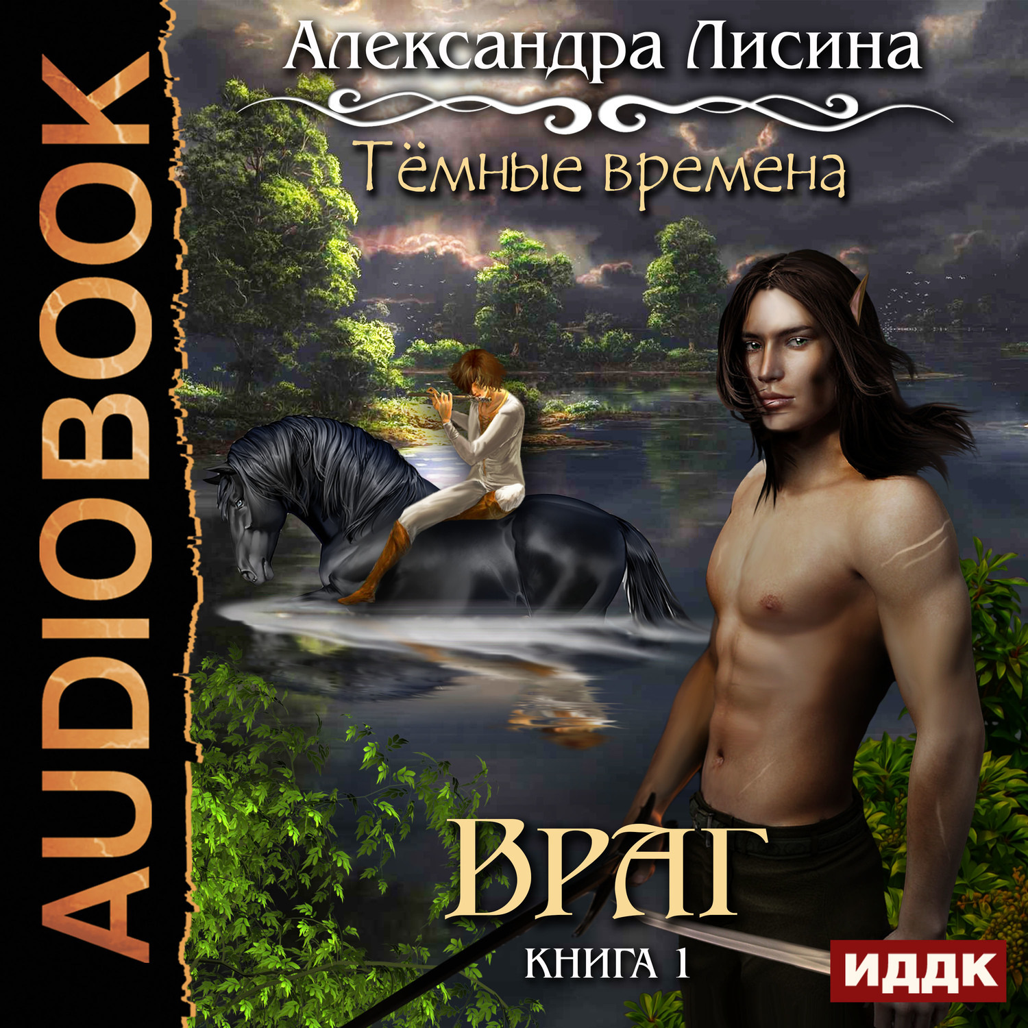 Обложка книги «Темные времена. Враг»
