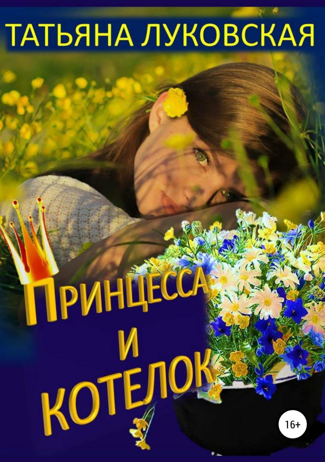 Обложка книги «Принцесса и котелок»