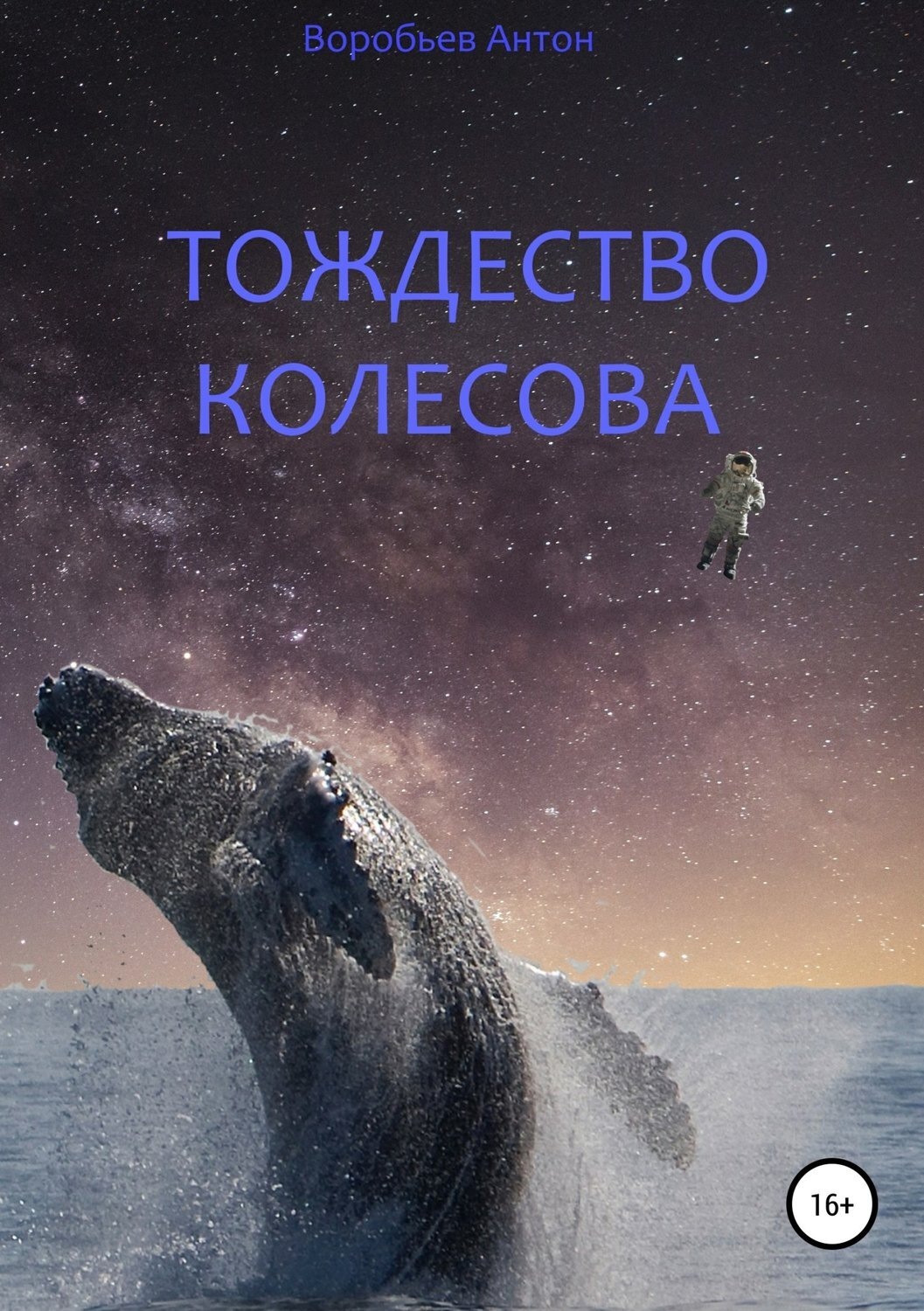 Обложка книги «Тождество Колесова»