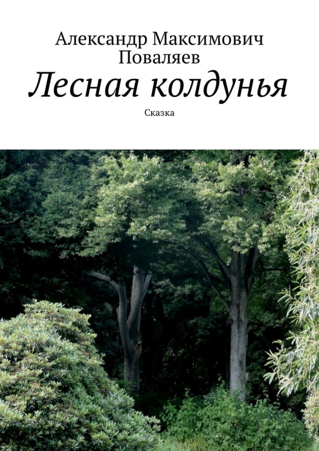 Обложка книги «Лесная колдунья. Сказка»