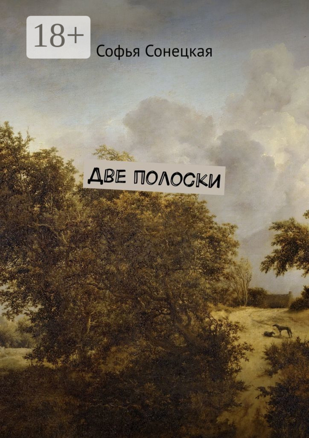 Обложка книги «Две полоски»