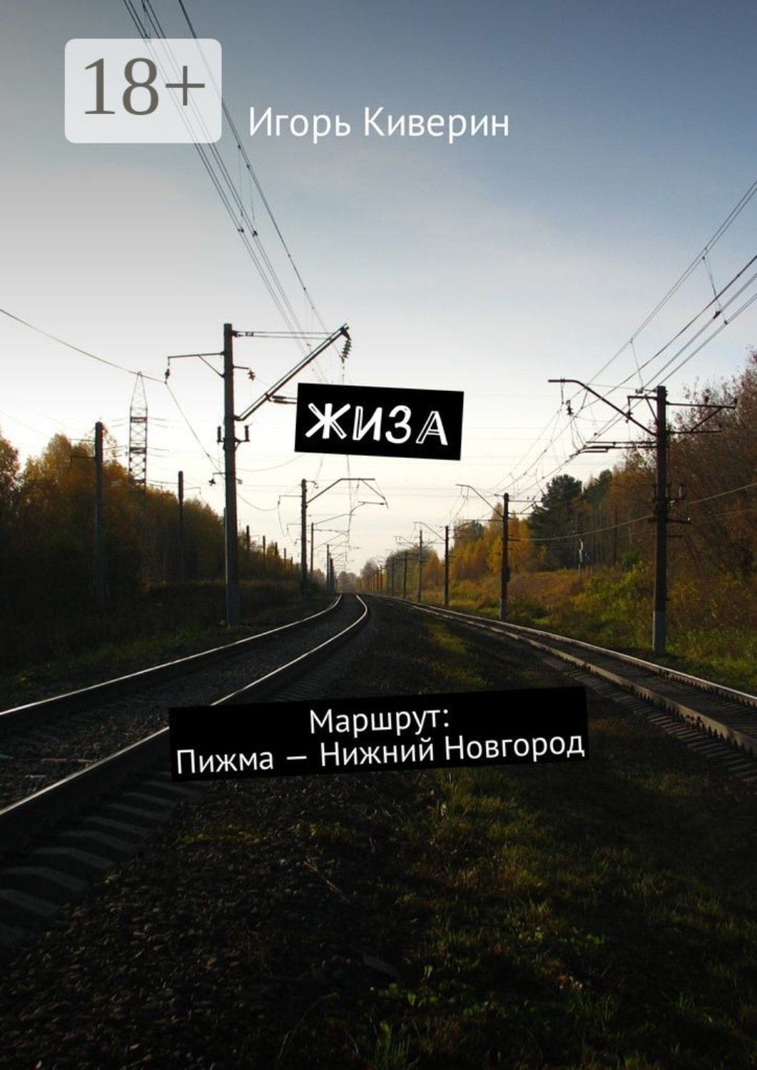 Обложка книги «Жиза. Маршрут: Пижма – Нижний Новгород»