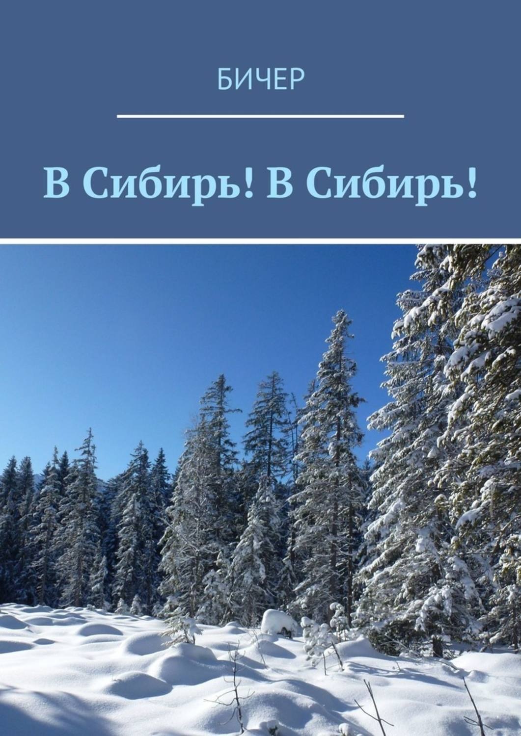 Обложка книги «В Сибирь! В Сибирь!»